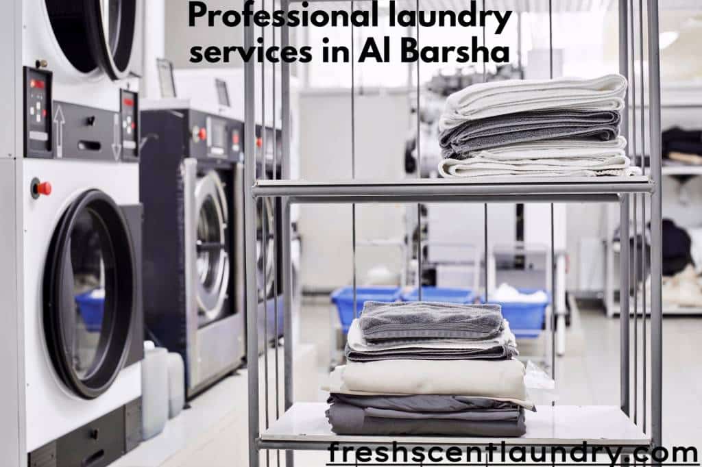 Professional laundry services in Al Barsha