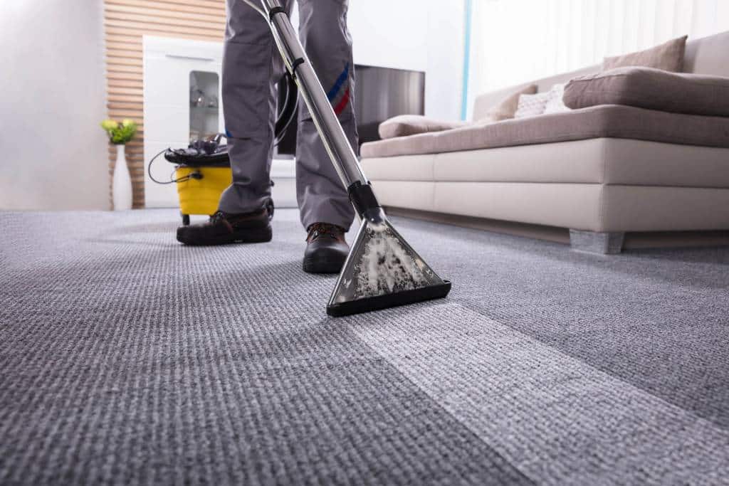 healthy carpet cleaner service marina