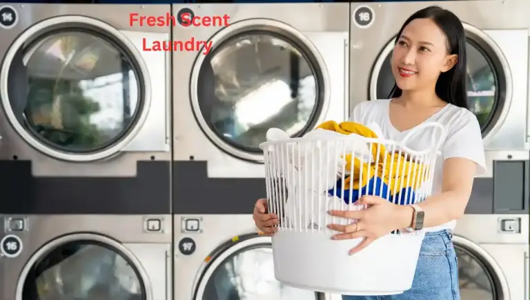 laundry service in dubai