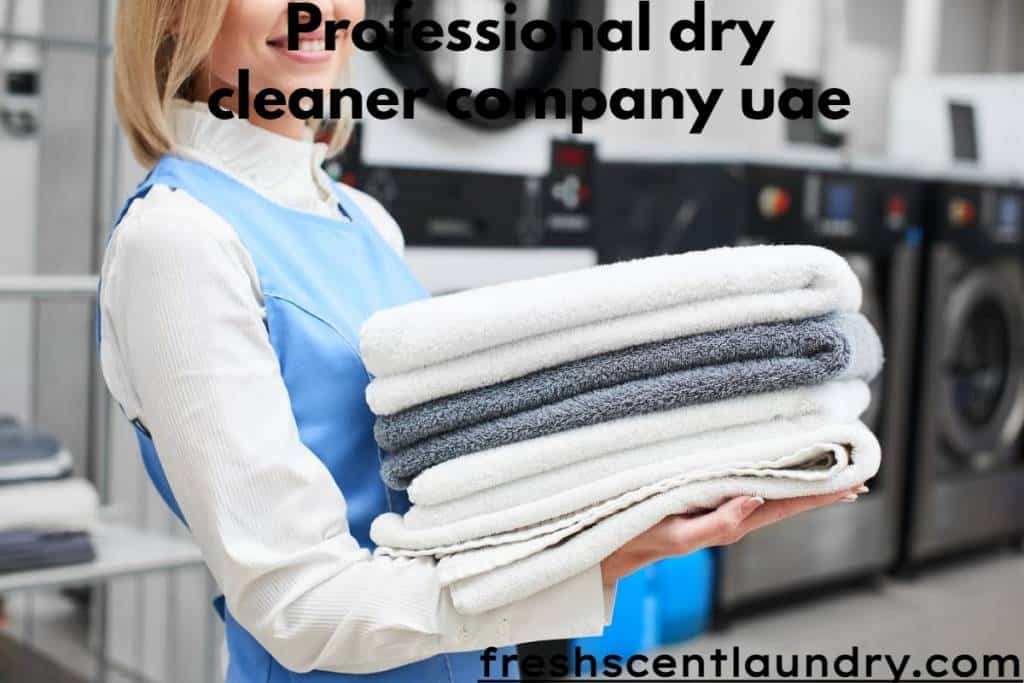 Professional dry cleaner company uae