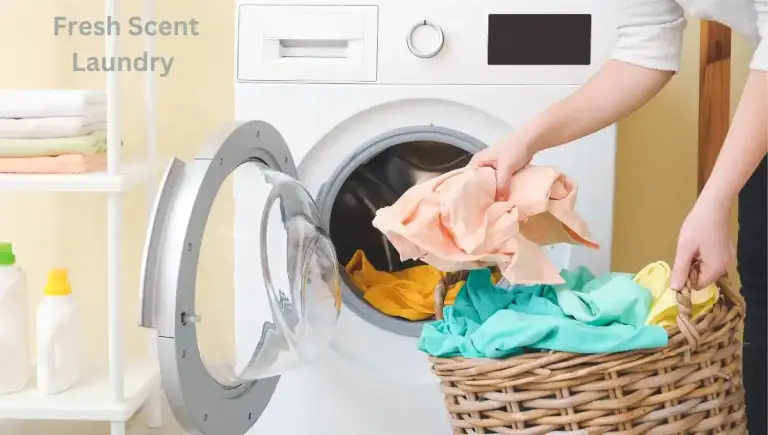 24 hour express laundry service in dubai