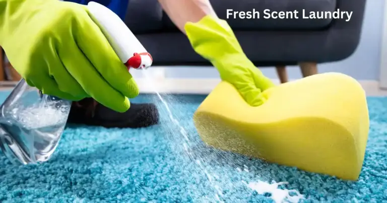 Best Carpet Cleaning Service In Dubai