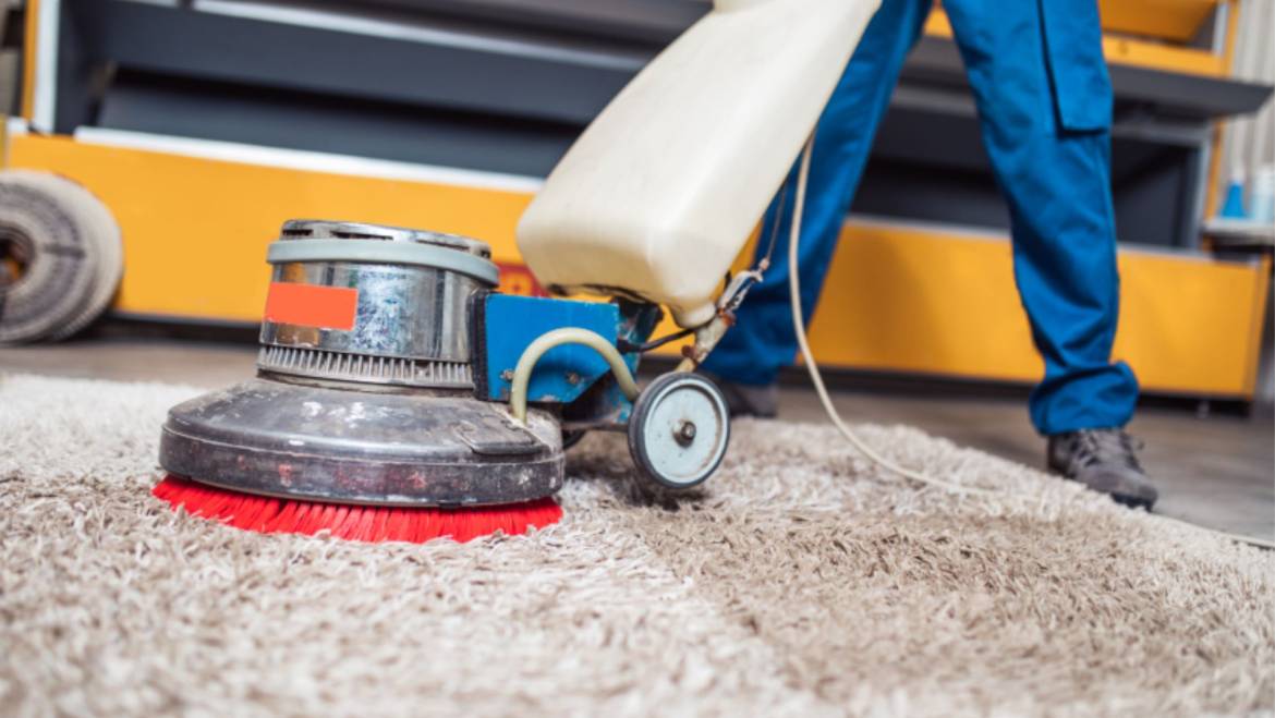 Why Is Professional Carpet Cleaning Essential for Pet Owners?