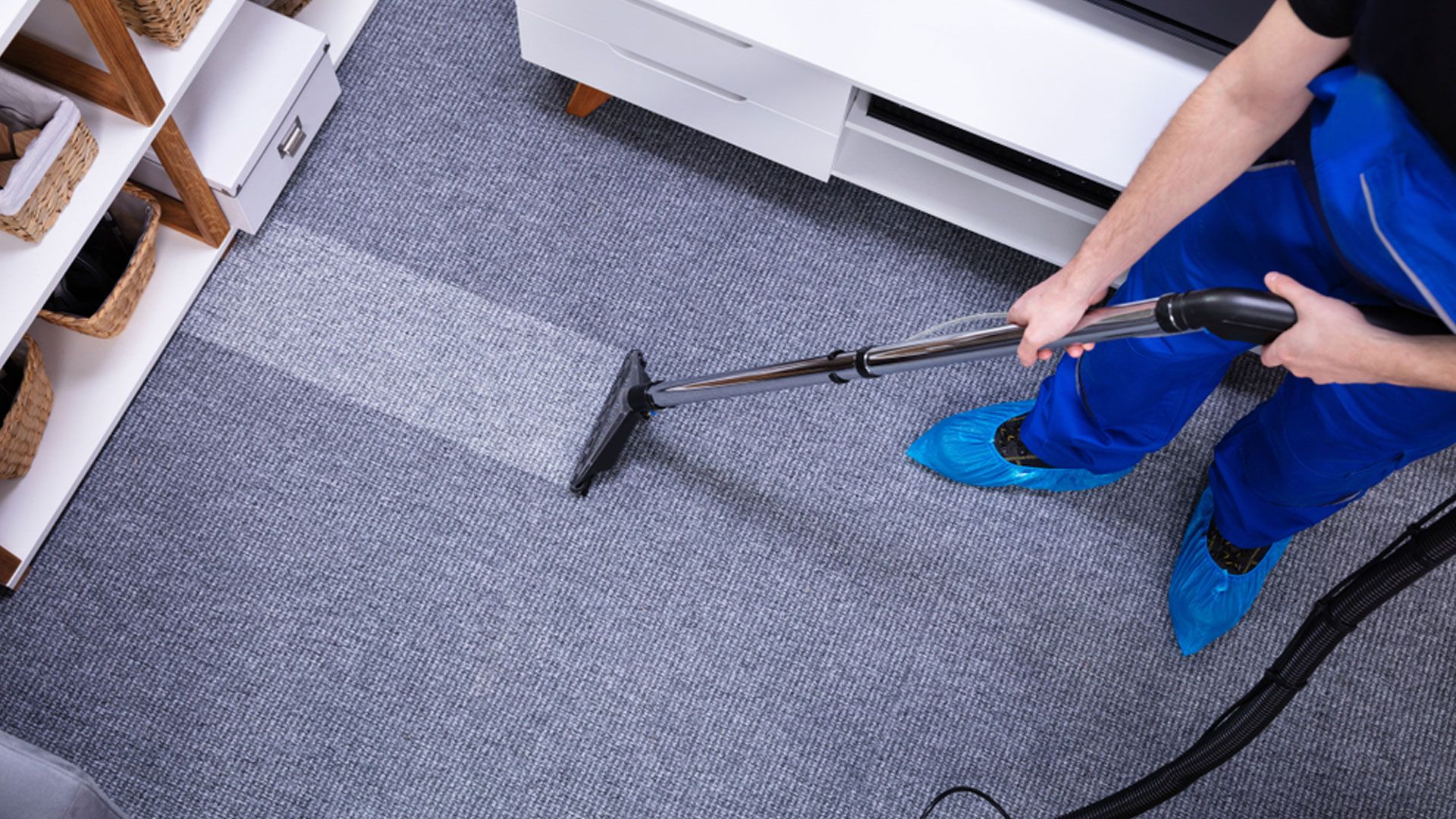 Why Is Professional Carpet Cleaning Essential for Pet Owners 