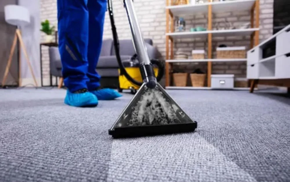 How to Get Vomit Out of Carpet Fresh Scent Solutions!